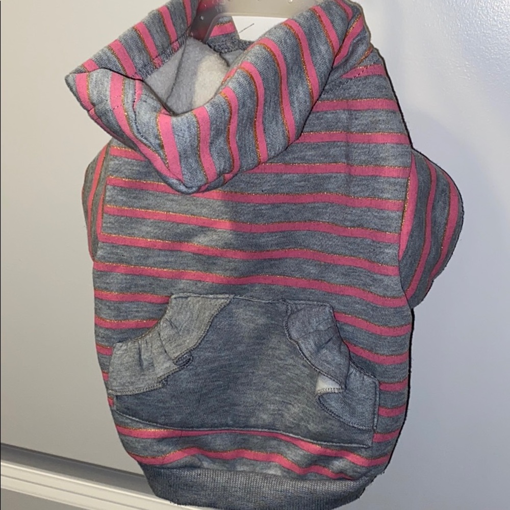 Hoodie for small dog